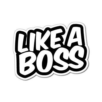 Like A Boss 150mm Decal